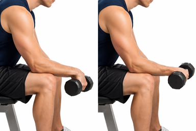 Dumbbell Wrist Extension