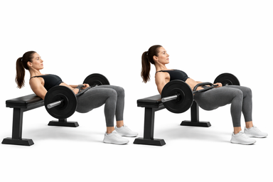 Hip Thrust (Bench Supported)