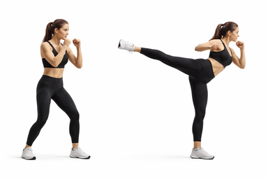 Roundhouse Kick (Mawashi Geri)