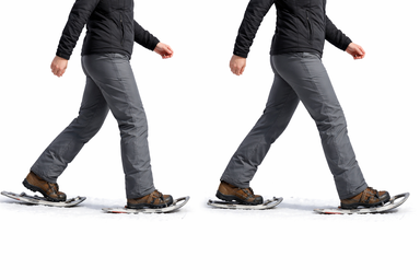 Snowshoe Walk