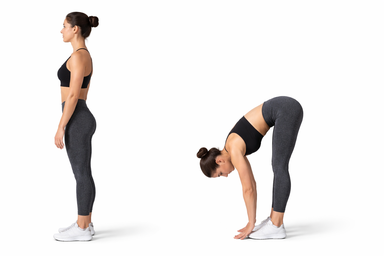 Standing Forward Fold
